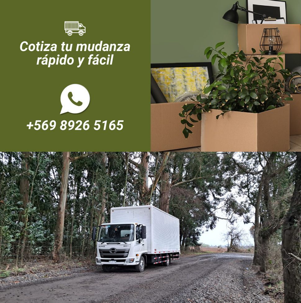 Mudanzas y Fletes: Cotiza tu mudanza rápido y fácil
